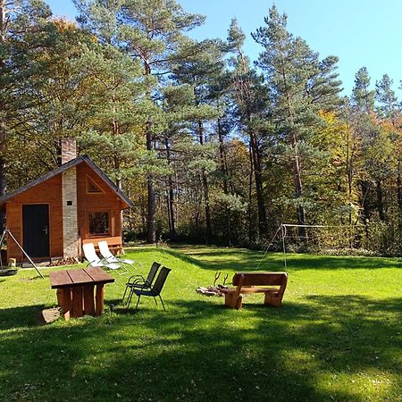 Survivalowa Chata W Lesie Bukowsko Kültér fotó