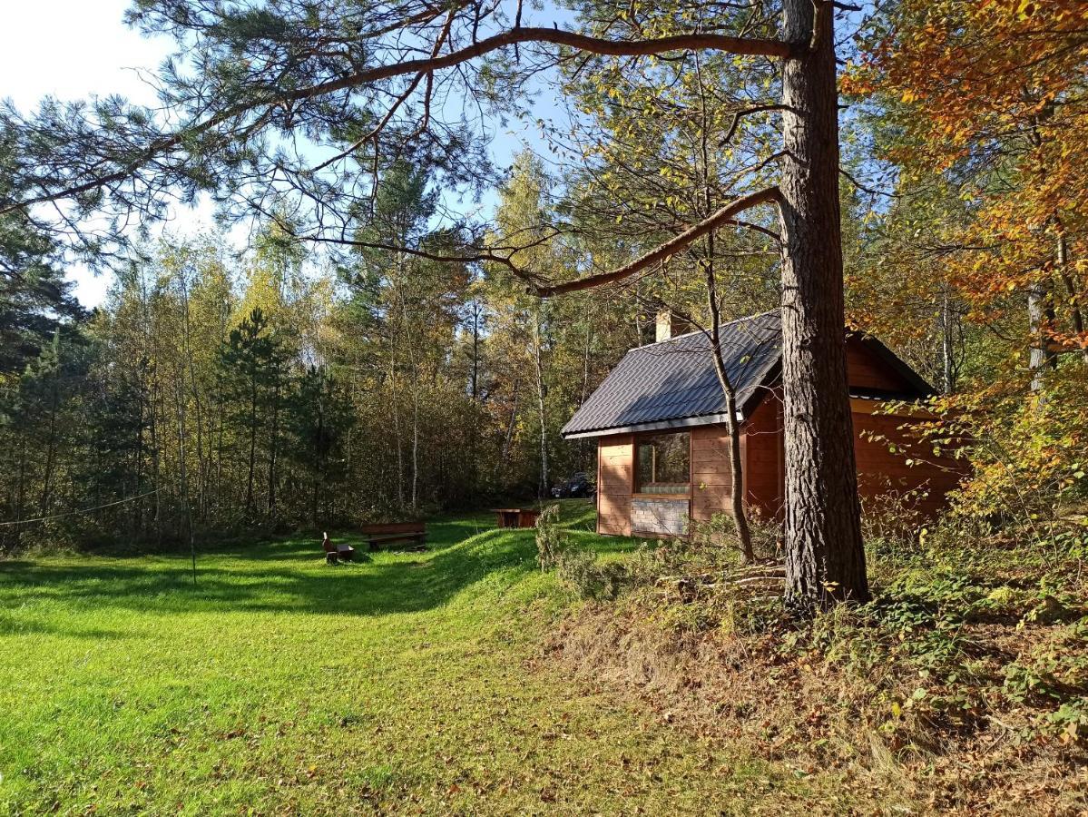 Survivalowa Chata W Lesie Bukowsko Kültér fotó