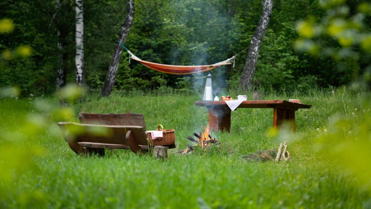 Survivalowa Chata W Lesie Bukowsko Kültér fotó