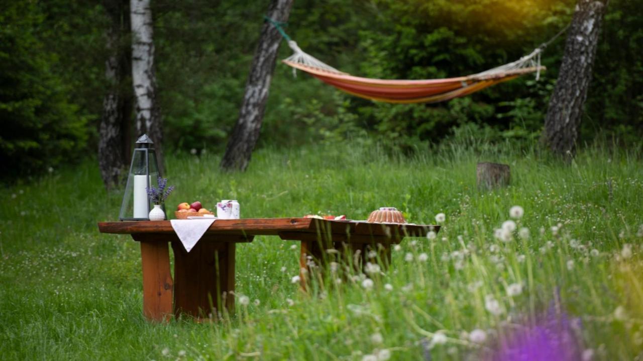 Survivalowa Chata W Lesie Bukowsko Kültér fotó