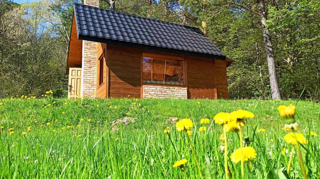 Survivalowa Chata W Lesie Bukowsko Kültér fotó
