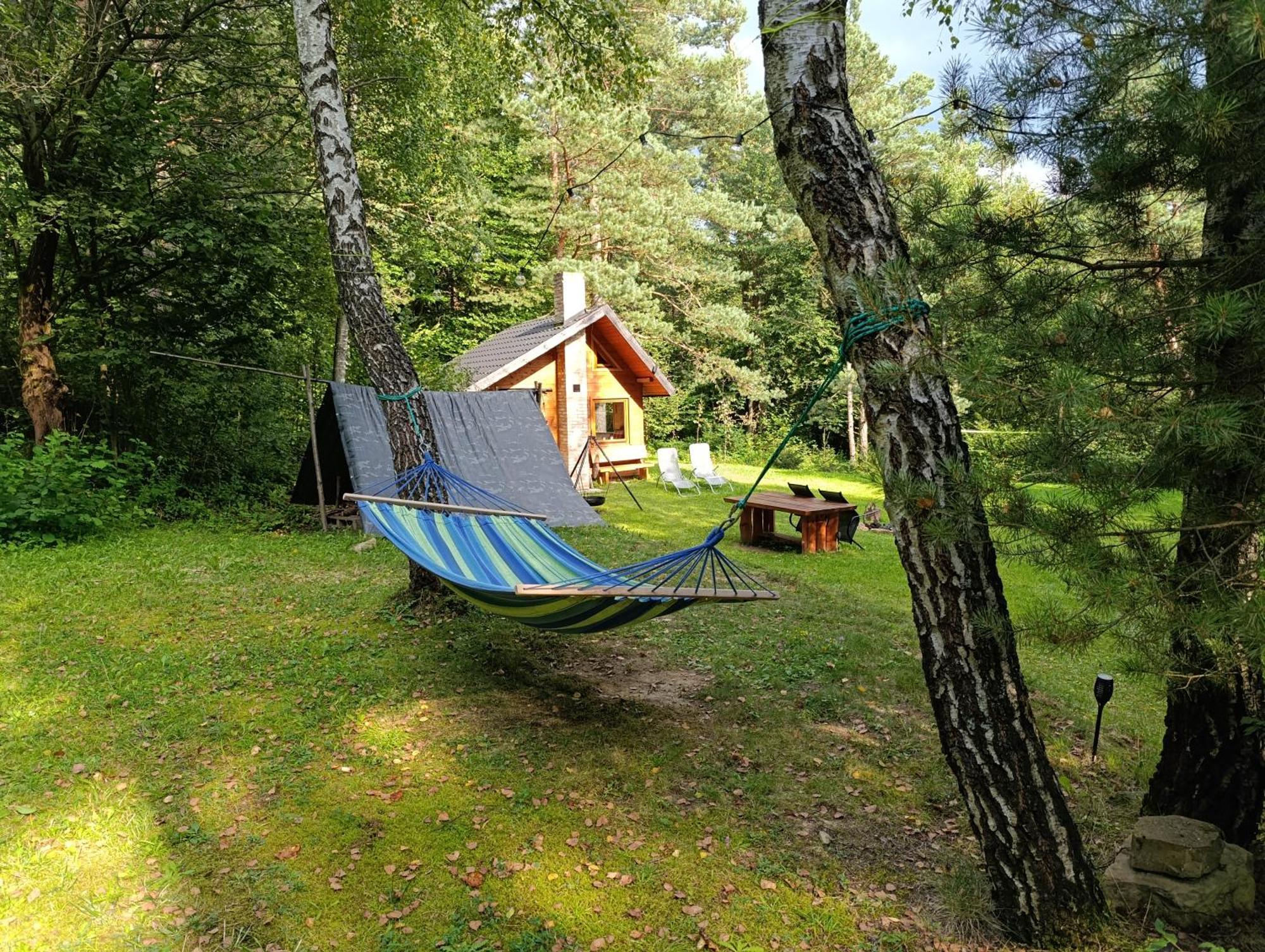 Survivalowa Chata W Lesie Bukowsko Kültér fotó